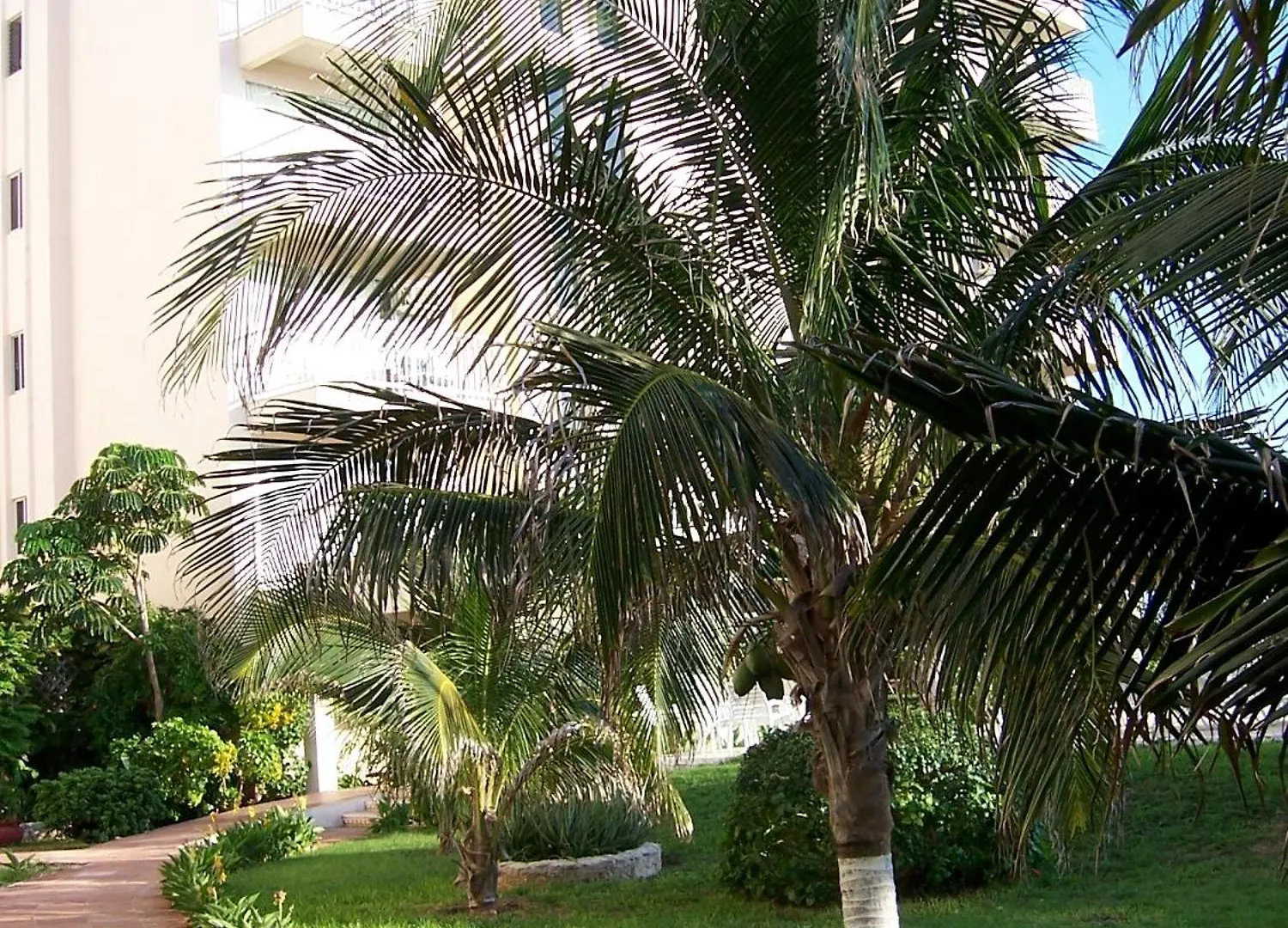Salvia Cancun Aparts 0*,